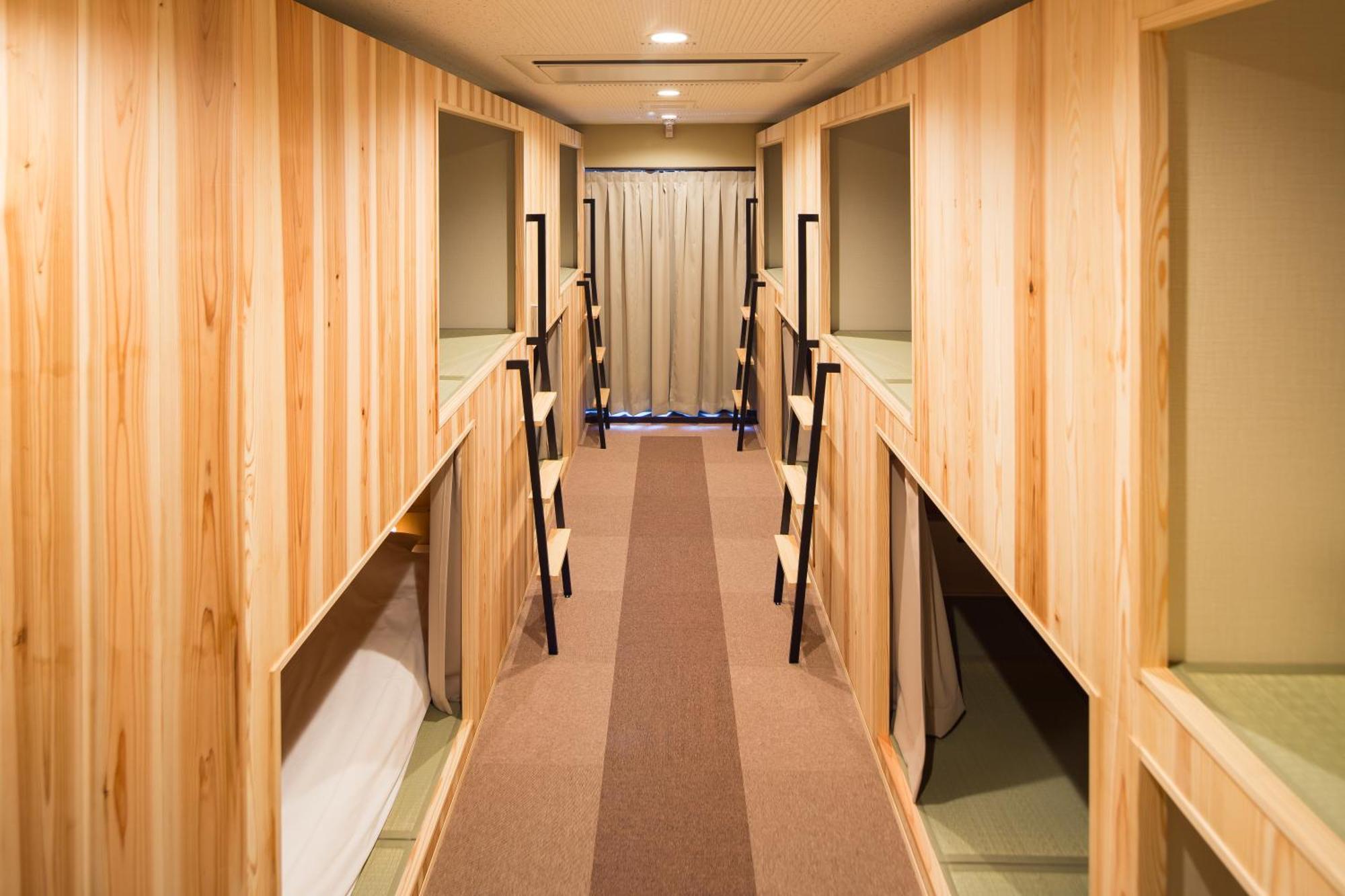 Bunk Bed Mixed Dormitory Room